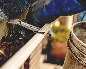 gutter cleaning service