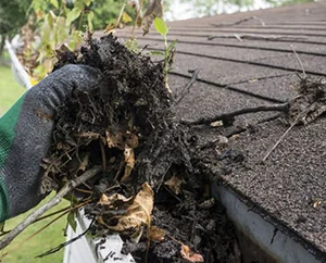gutter cleaning service