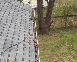 gutter cleaning service