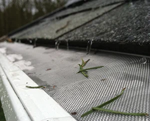 gutter protection